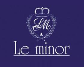 Le Minor Guidel