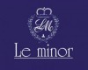 Le Minor Guidel